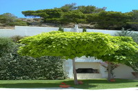  AGIA MARINA(VILLA),  04; 